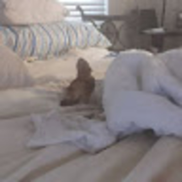 Meet your Posher, Joseph - Picture 1 of 1